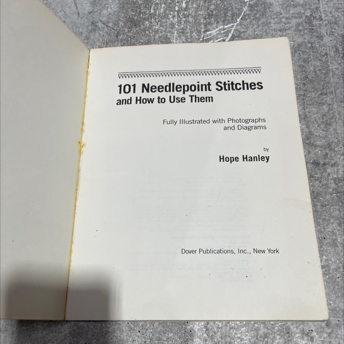 101 needlepoint stitches and how to use them book, by Hope Hanley, 1986 Paperback image 2