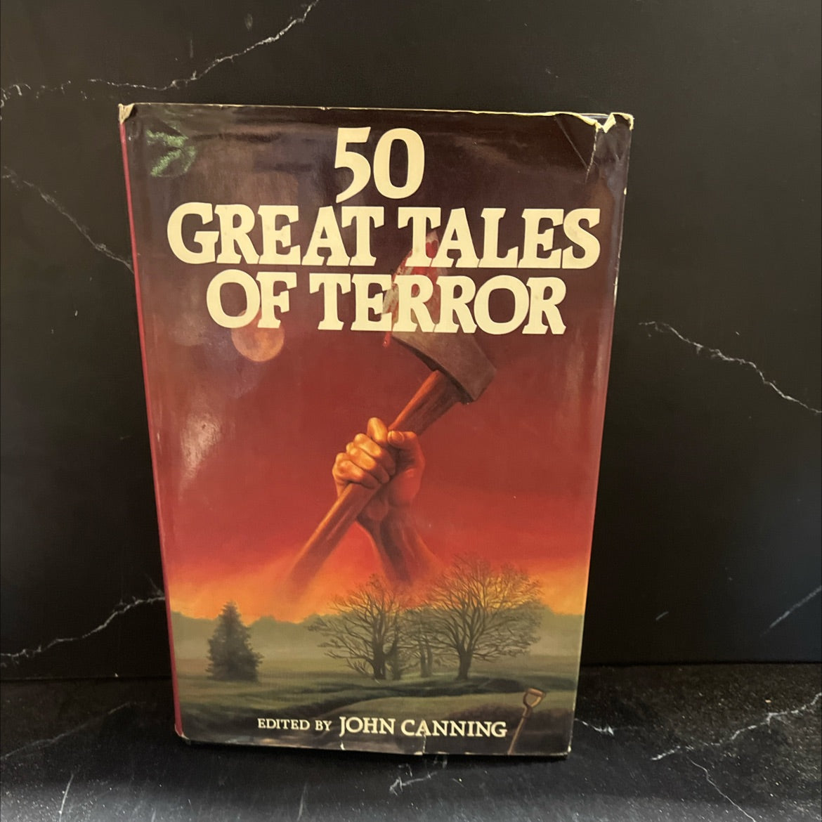 50 great tales of terror book, by John Canning, 1985 Hardcover image 1