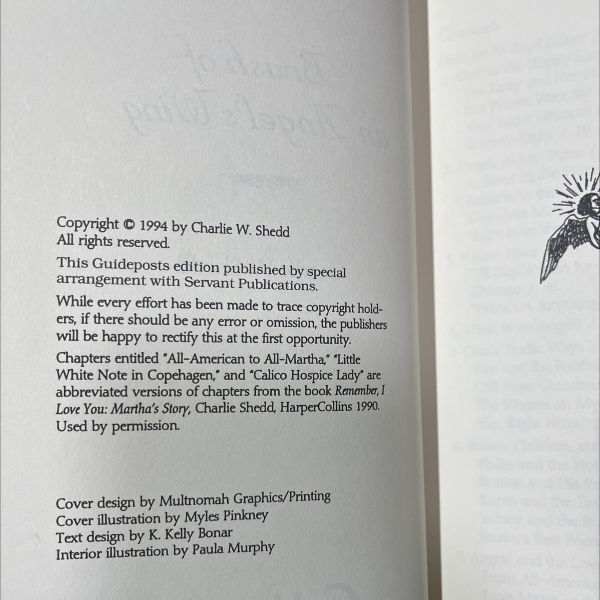 a brush of angel's wing book, by Charlie W. Shedd, 1994 Hardcover image 3