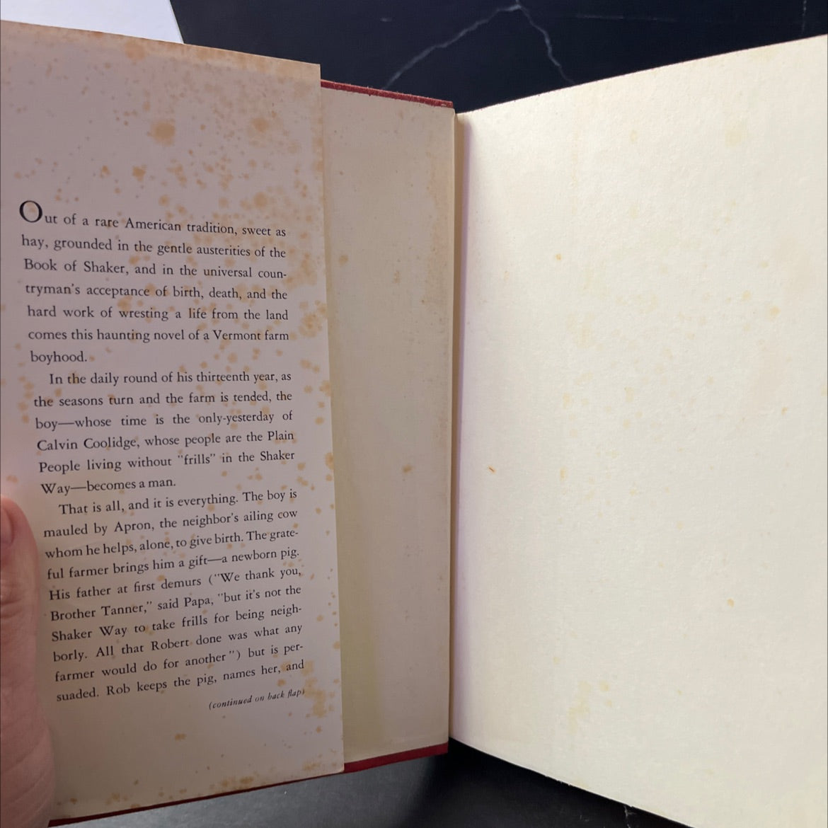 a day no pigs would die book, by Robert Newton Peck, 1973 Hardcover image 4