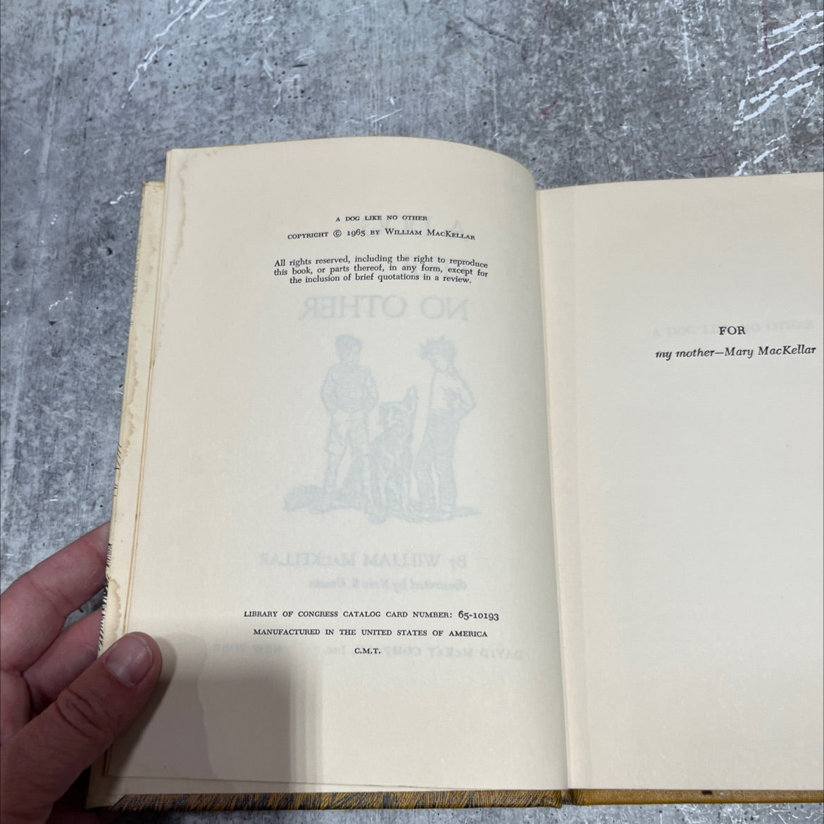 a dog like no other book, by william mackellar, 1965 Hardcover image 3