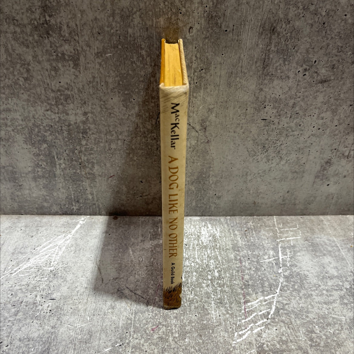 a dog like no other book, by william mackellar, 1965 Hardcover image 4