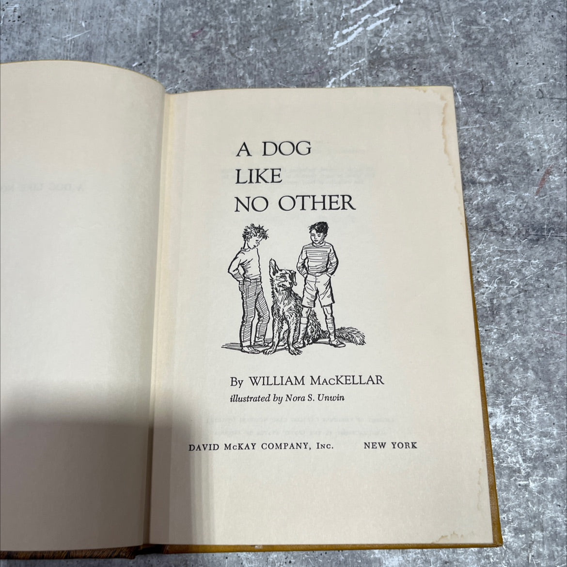 a dog like no other book, by william mackellar, 1965 Hardcover image 2
