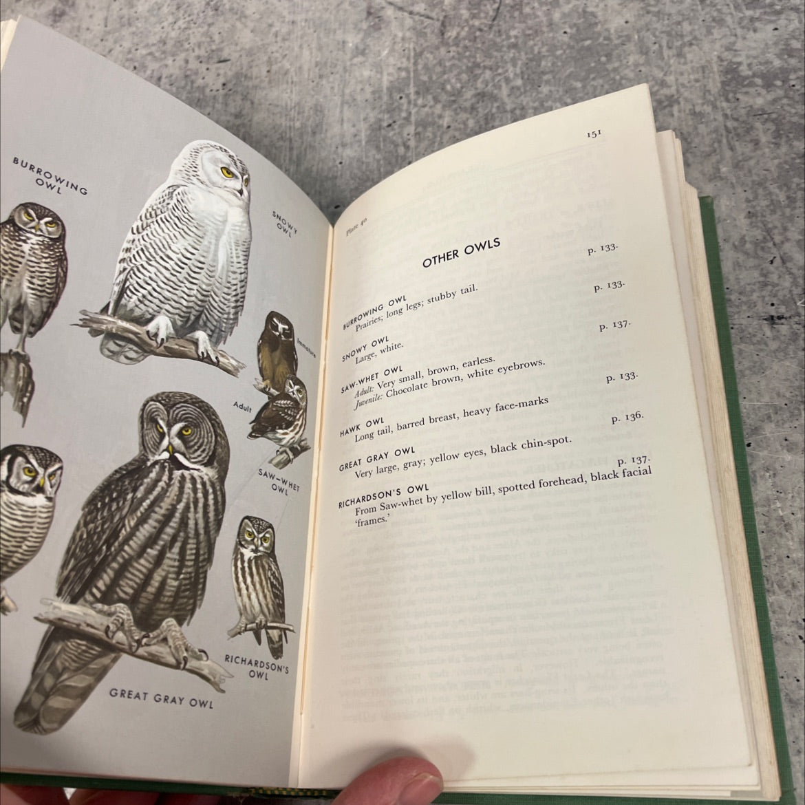 a field guide to the birds giving field marks of all species found east of the rockies book, by roger tory peterson, image 4