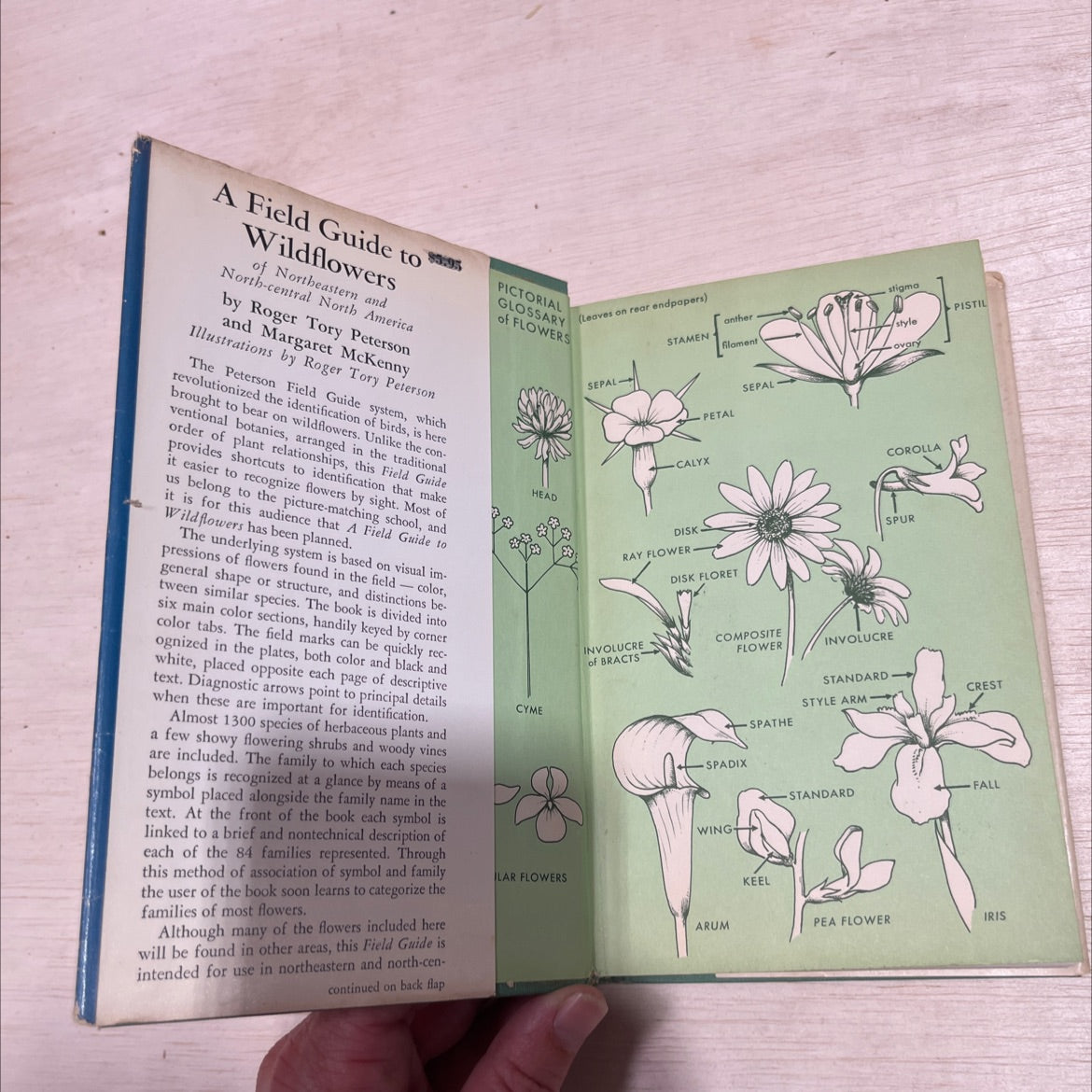 a field guide to wildflowers of northeastern and north-central north america book, by roger tory peterson and margaret image 4