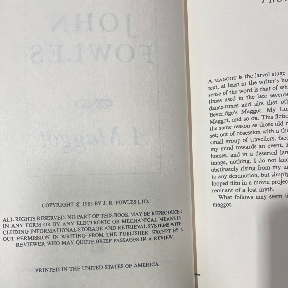 a maggot book, by john fowles, 1985 Hardcover image 3