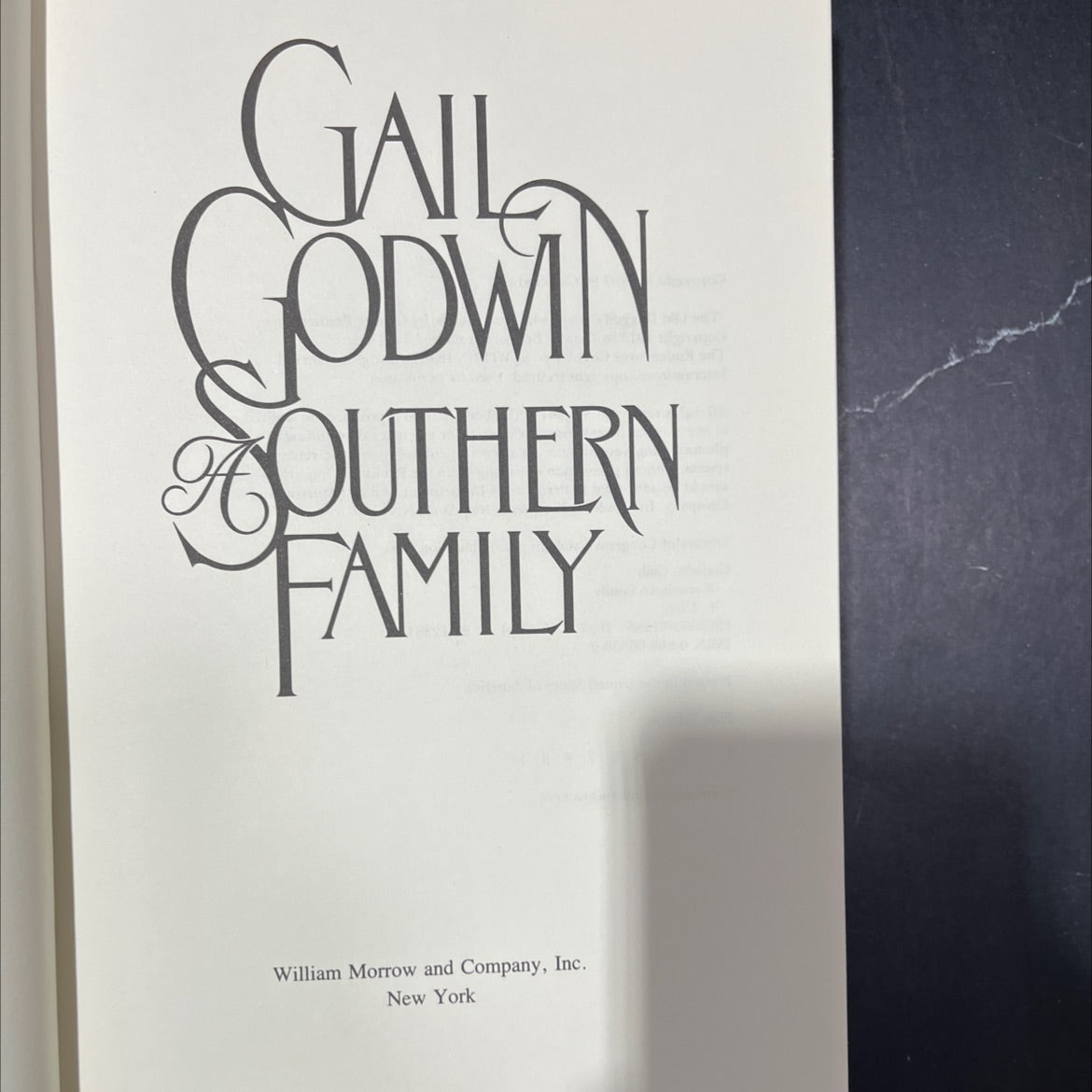 a southern family book, by gail godwin, 1987 Hardcover image 2