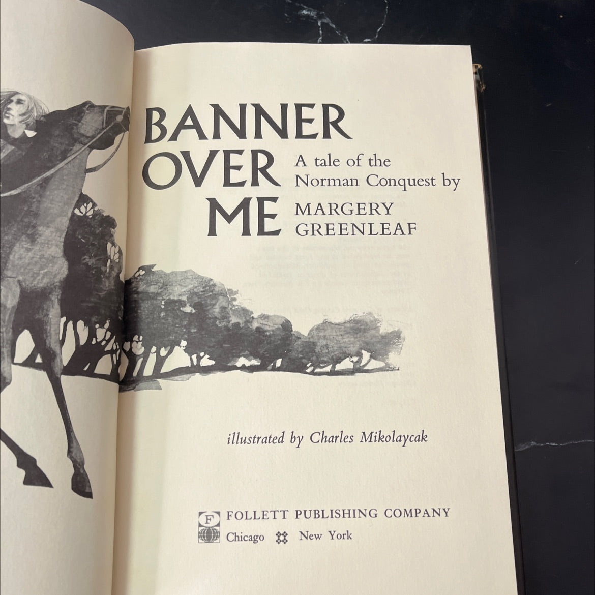 a tale of the banner over me norman conquest book, by margery greenleaf, 1968 Hardcover, First Edition, Vintage image 2