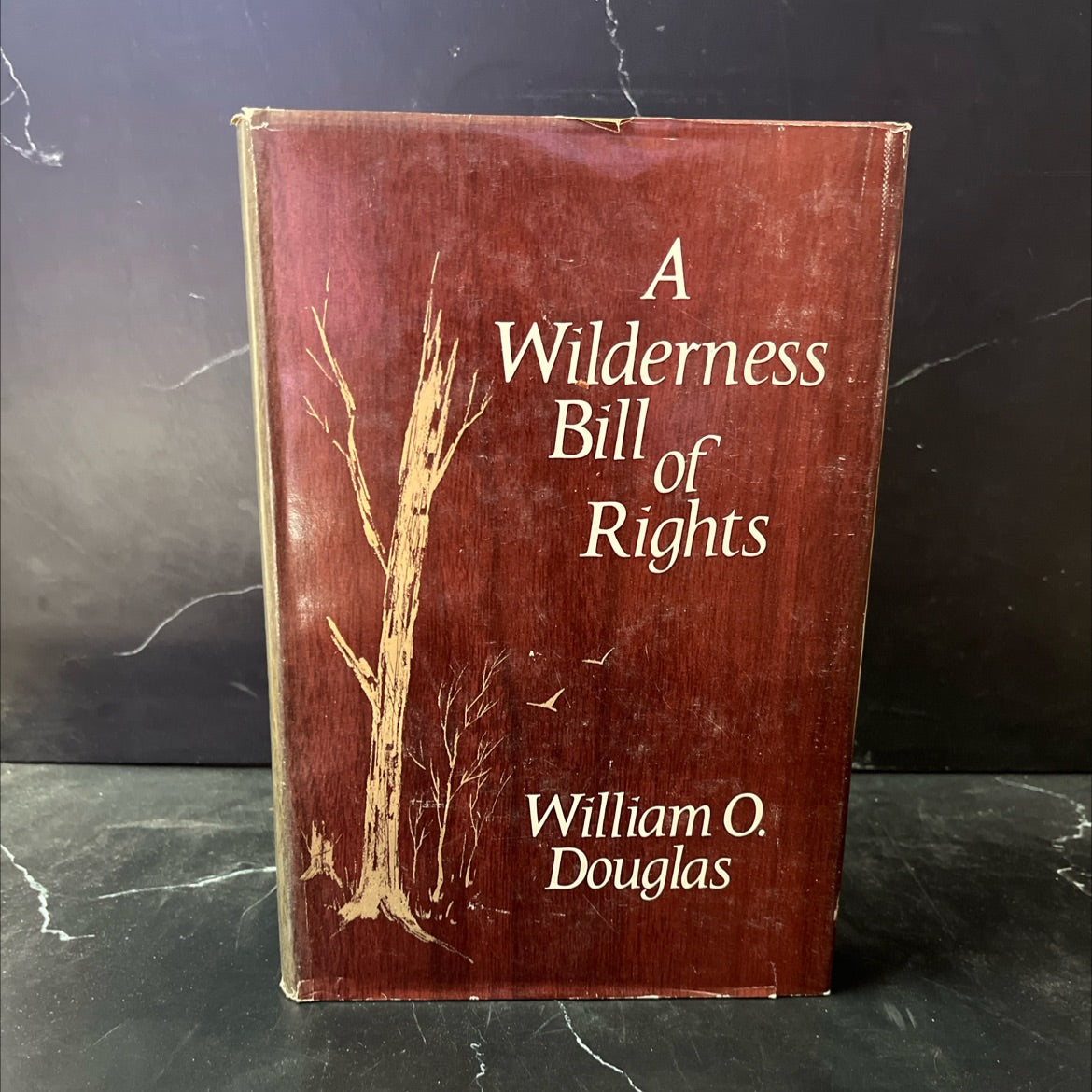 a wilderness bill of rights book, by william o. douglas, 1965 Hardcover image 1