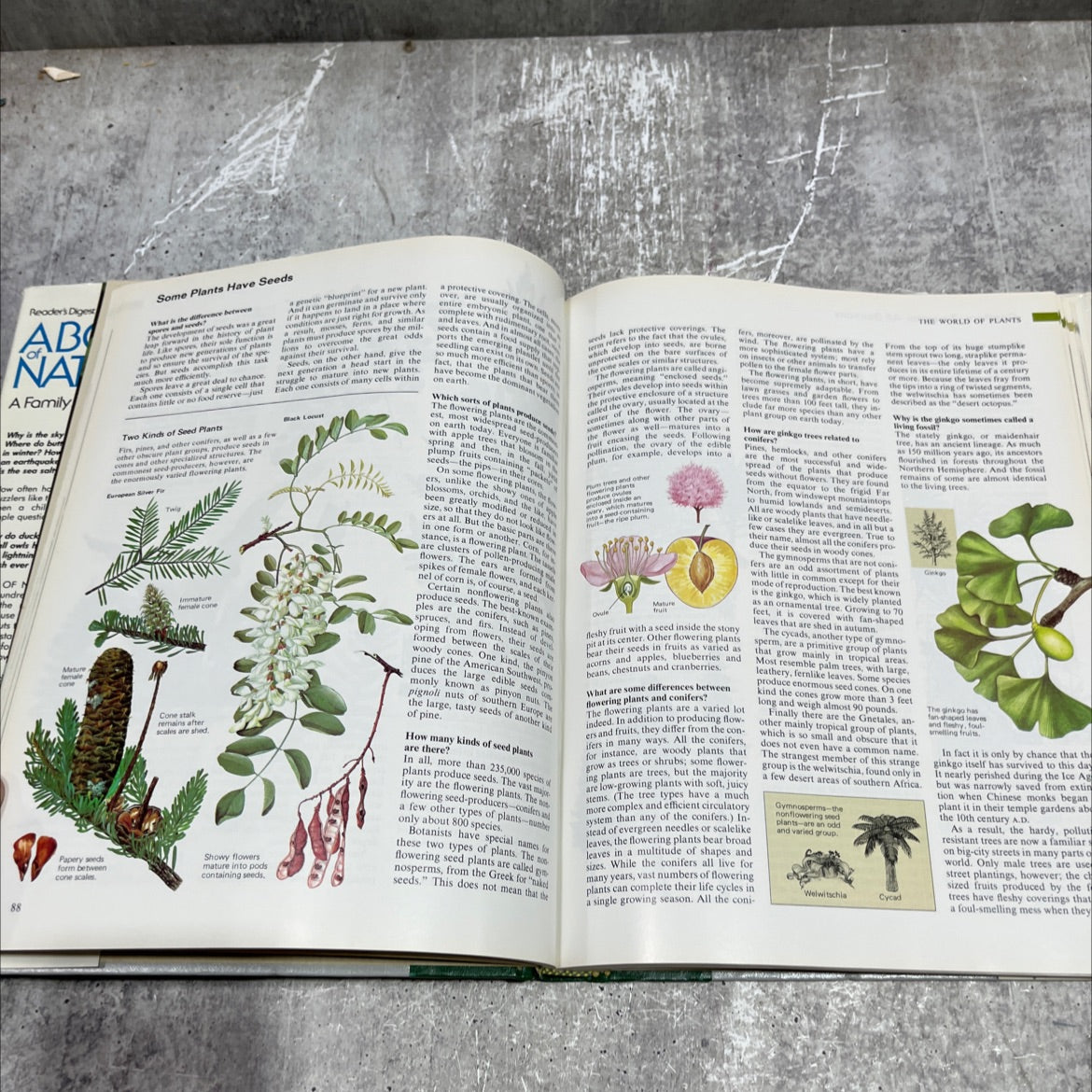 abc's of nature book, by Reader's Digest Association, 1984 Hardcover image 4