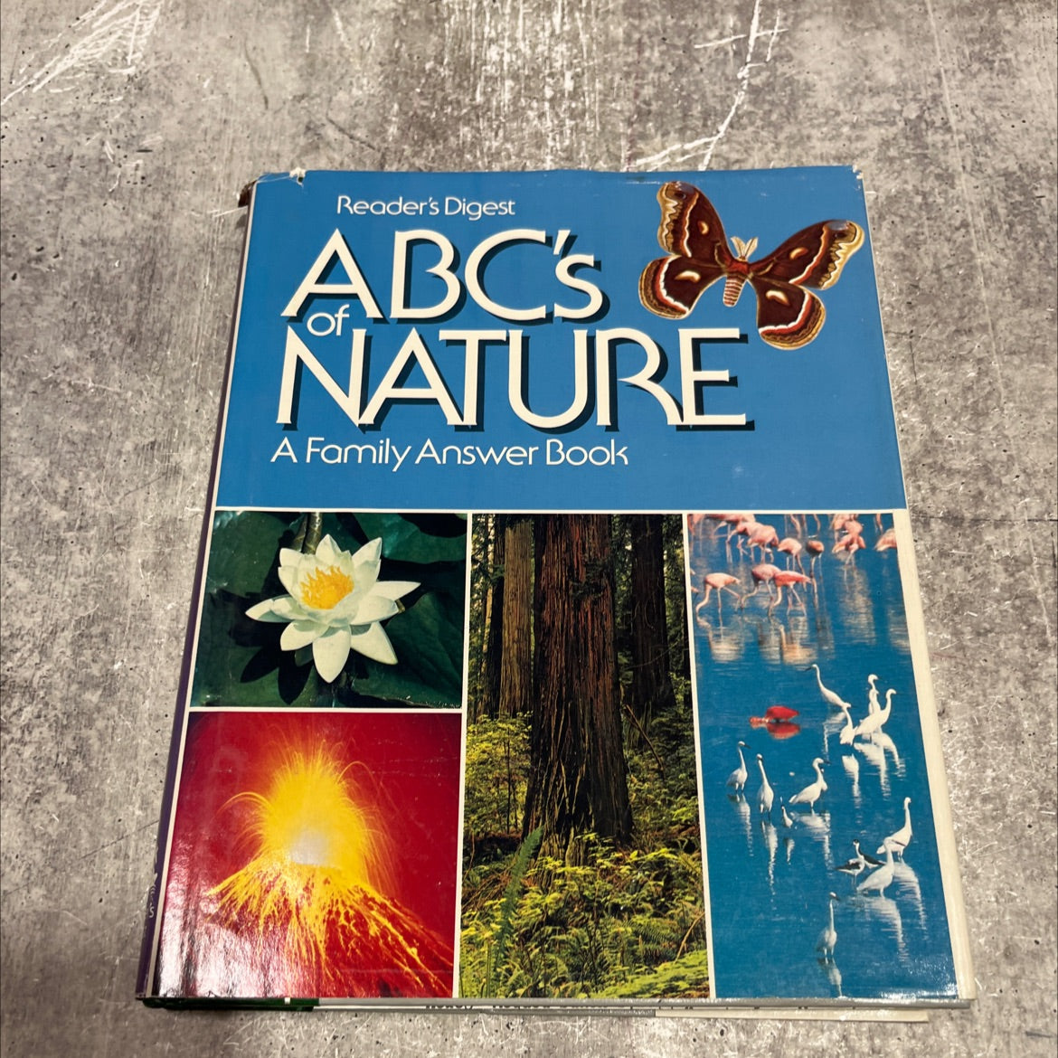 abc's of nature book, by Reader's Digest Association, 1984 Hardcover image 1
