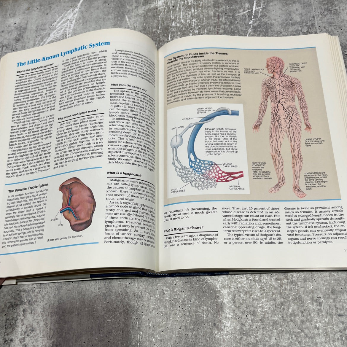 abc's of the human body book, by Reader's Digest Association, 1987 Hardcover image 4