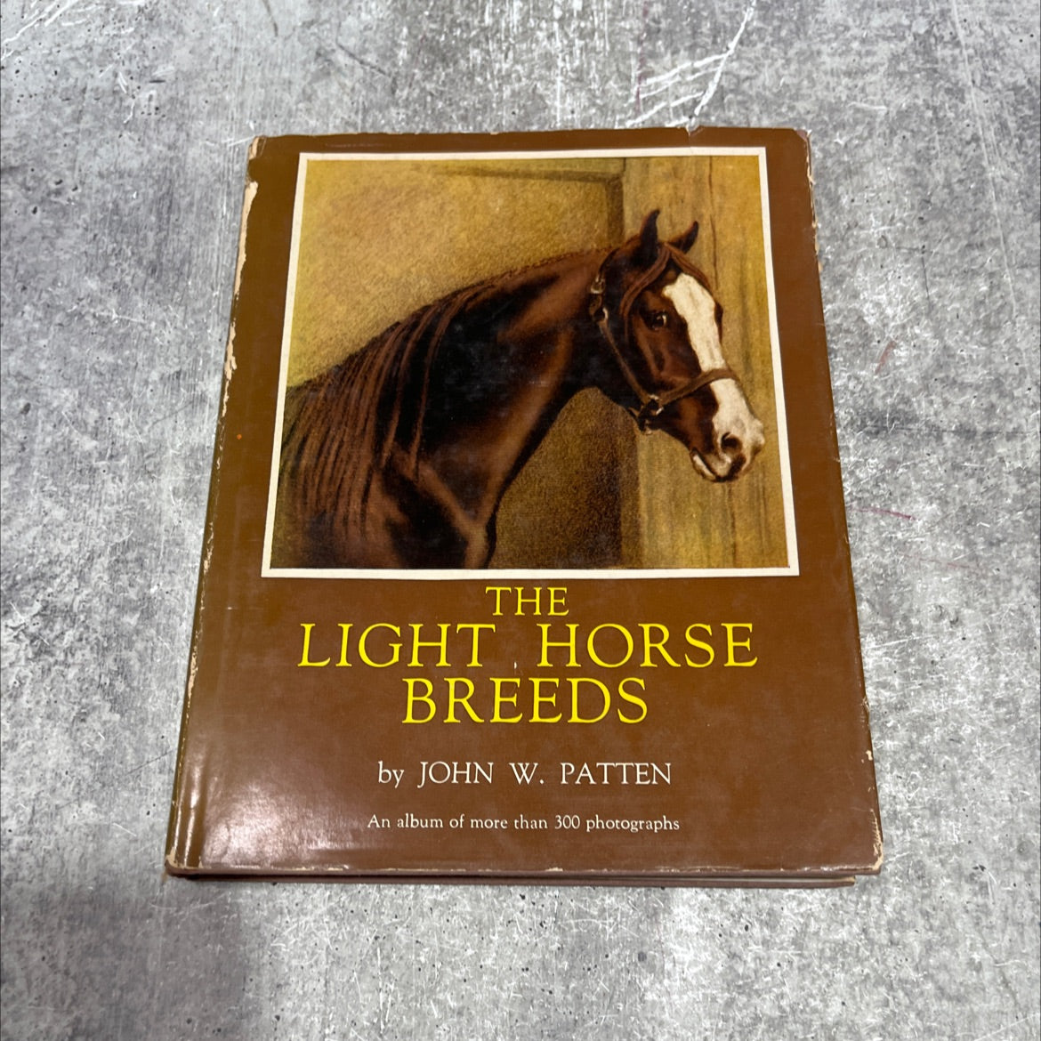 ace o' goshen the light horse breeds their origin characteristics and principal uses book, by john w. patten, 1960 image 1