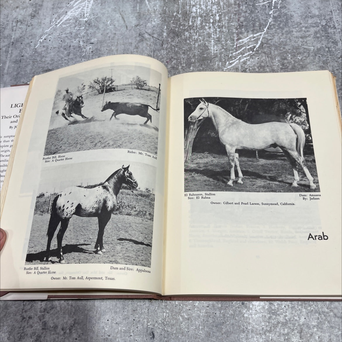 ace o' goshen the light horse breeds their origin characteristics and principal uses book, by john w. patten, 1960 image 4