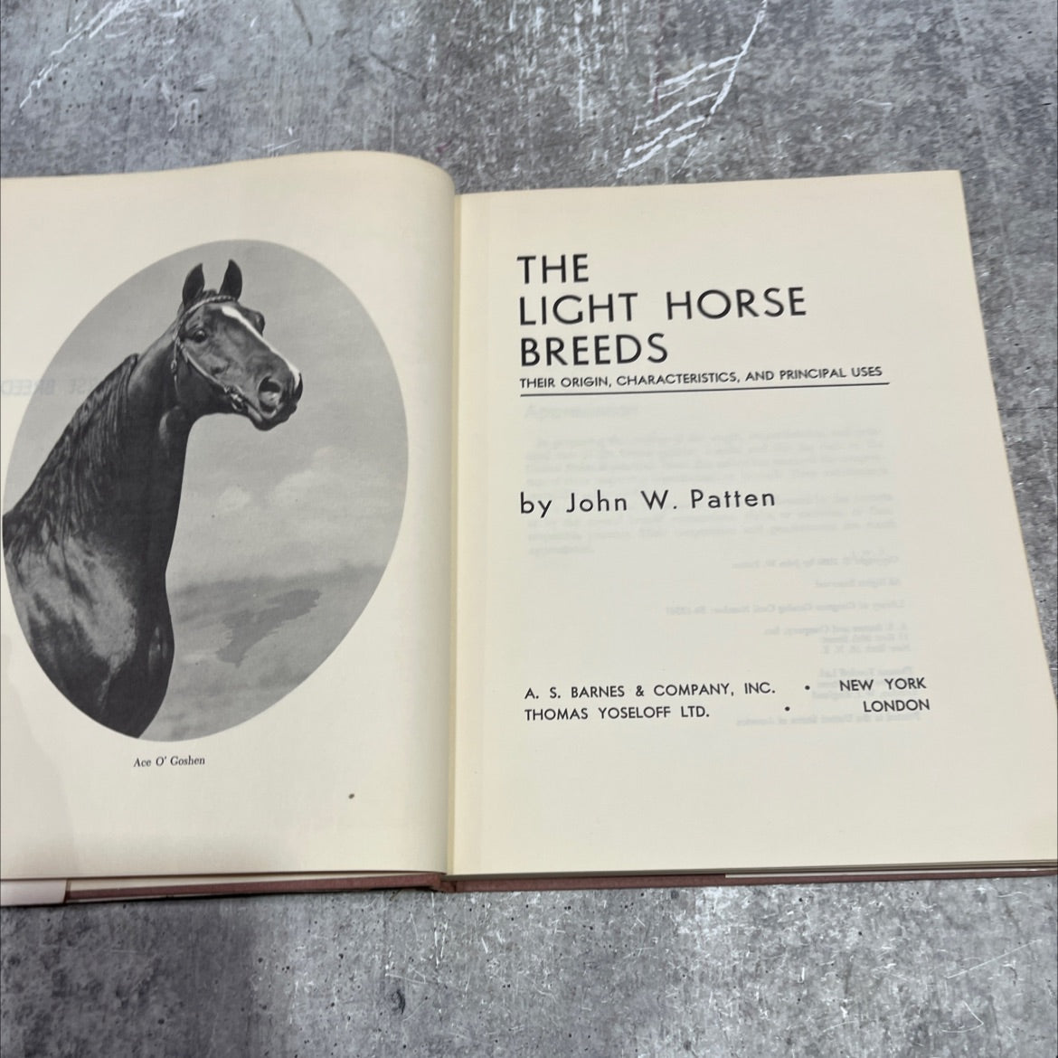 ace o' goshen the light horse breeds their origin characteristics and principal uses book, by john w. patten, 1960 image 2