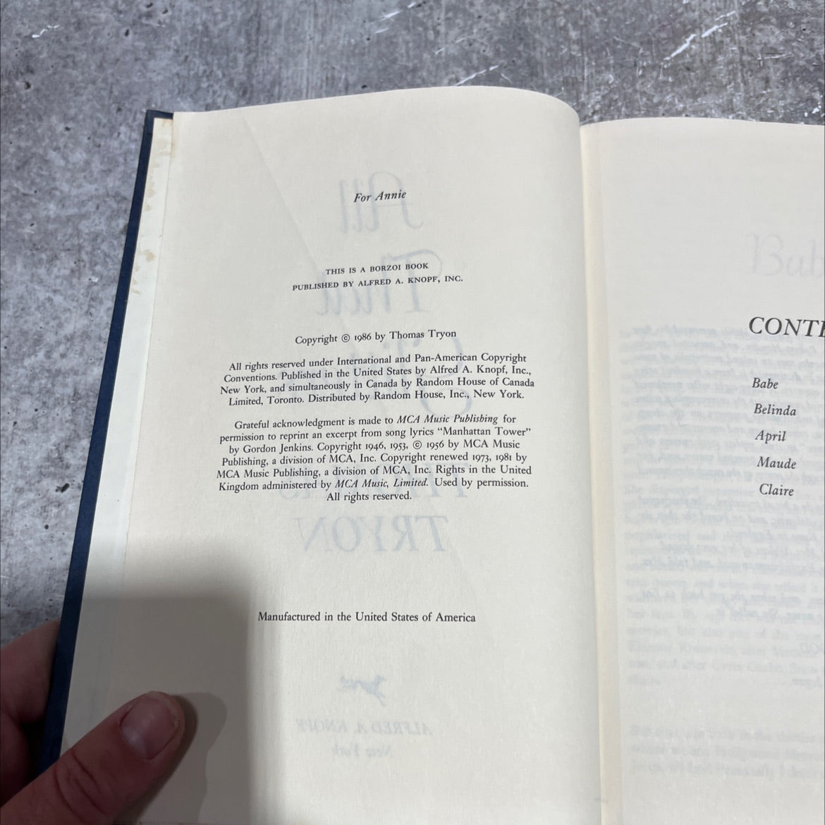 all that glitters book, by thomas tryon, 1986 Hardcover image 3