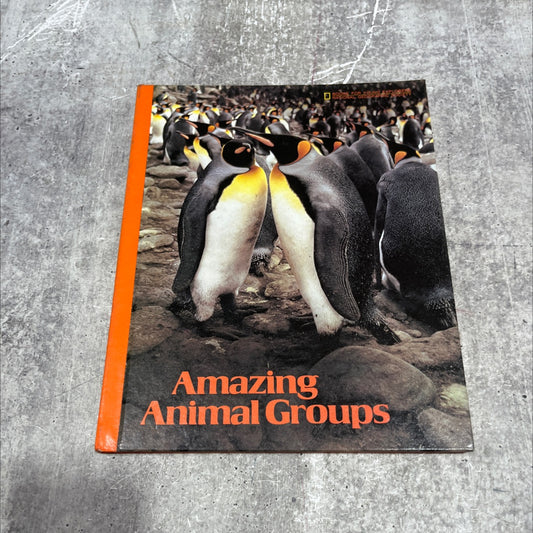 amazing animal groups book, by Suzanne Venino, 1981 Hardcover image 1
