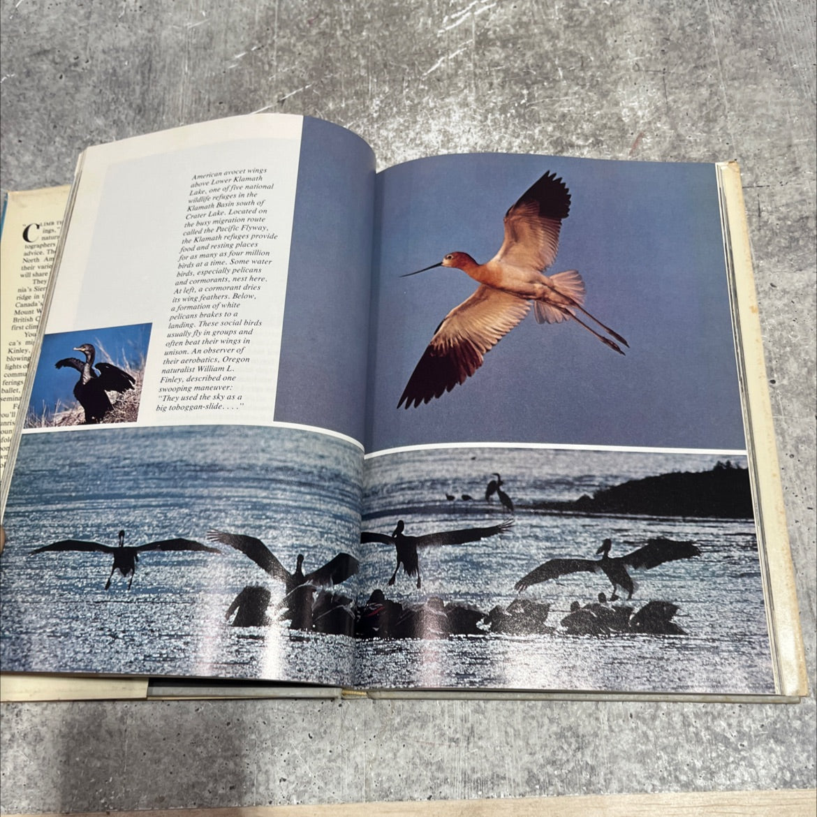 america's magnificent mountains book, by louis de la haba, ralph gray, sallie m. greenwood, daniel e. hutner, george f. image 4