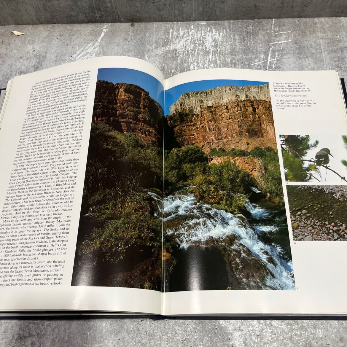 american rivers book, by Bill Thomas, 1978 Hardcover image 4