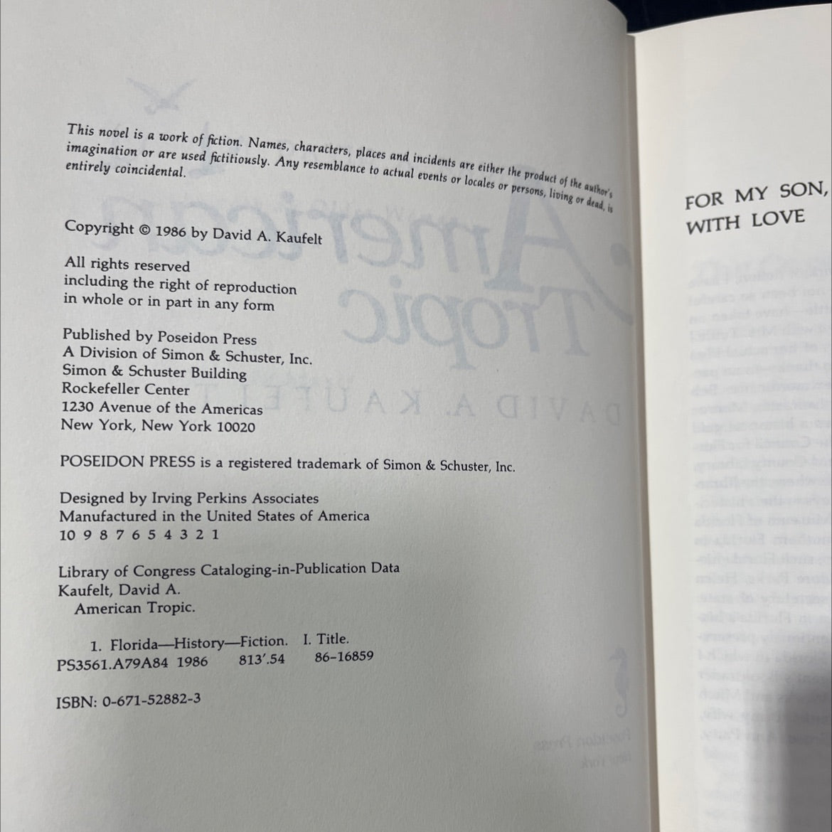american tropic book, by david a. kaufelt, 1986 Hardcover image 3