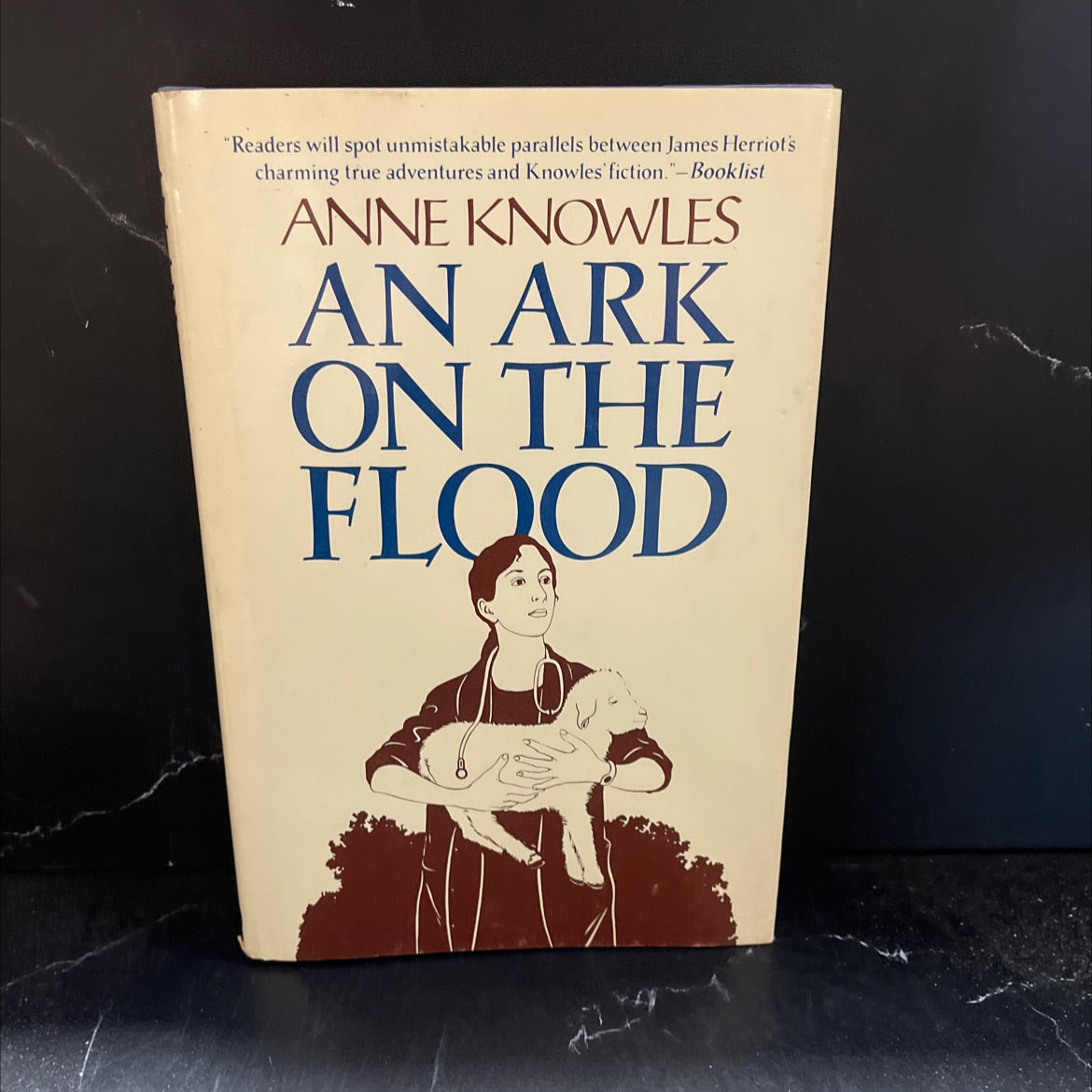 an ark on the flood book, by anne knowles, 1985 Hardcover image 1