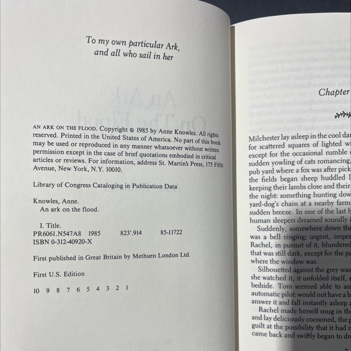 an ark on the flood book, by anne knowles, 1985 Hardcover image 3