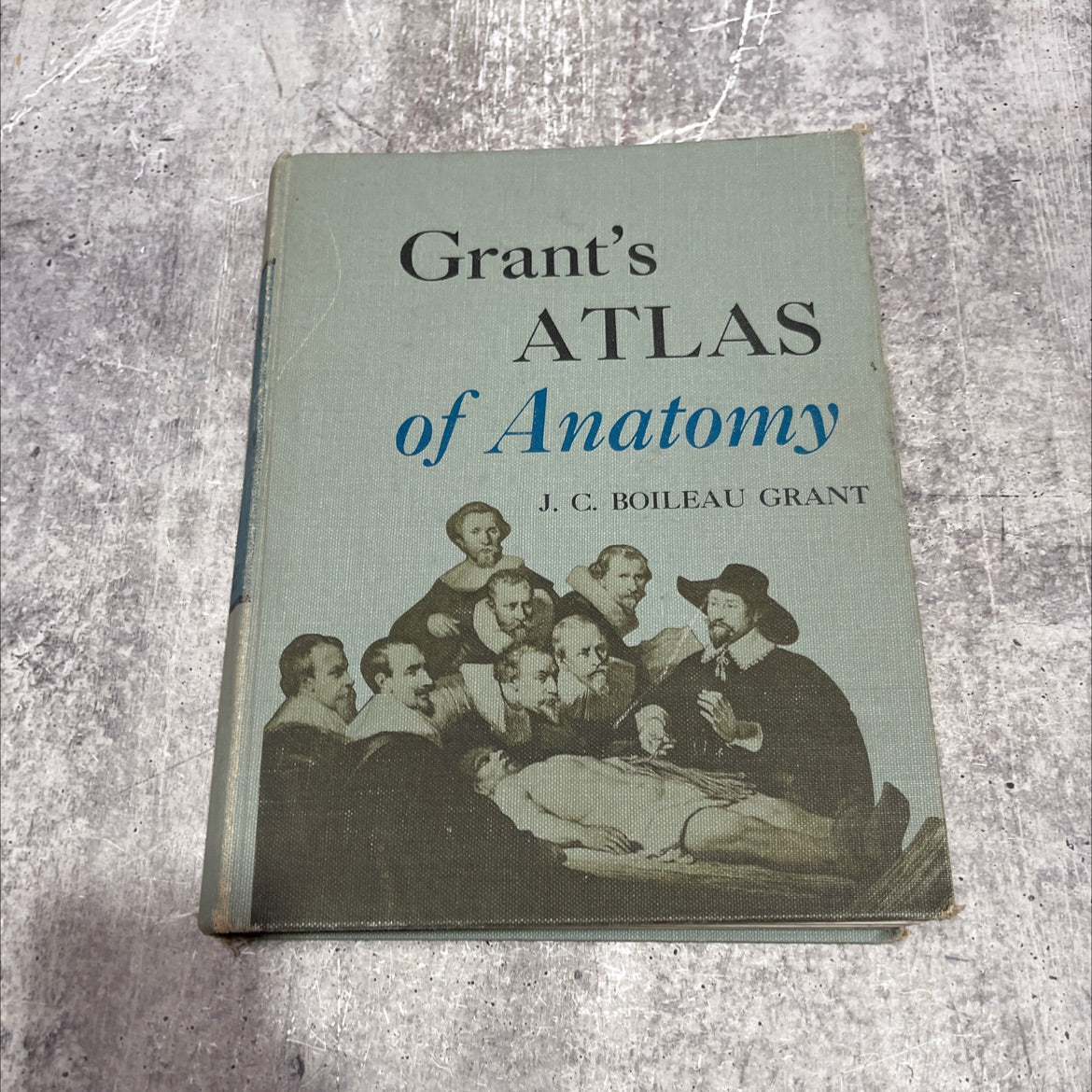 an atlas of anatomy pelvis, lower limb, vertebrae, vertebral column, by regions: upper limb, abdomen, perineum cranial image 1