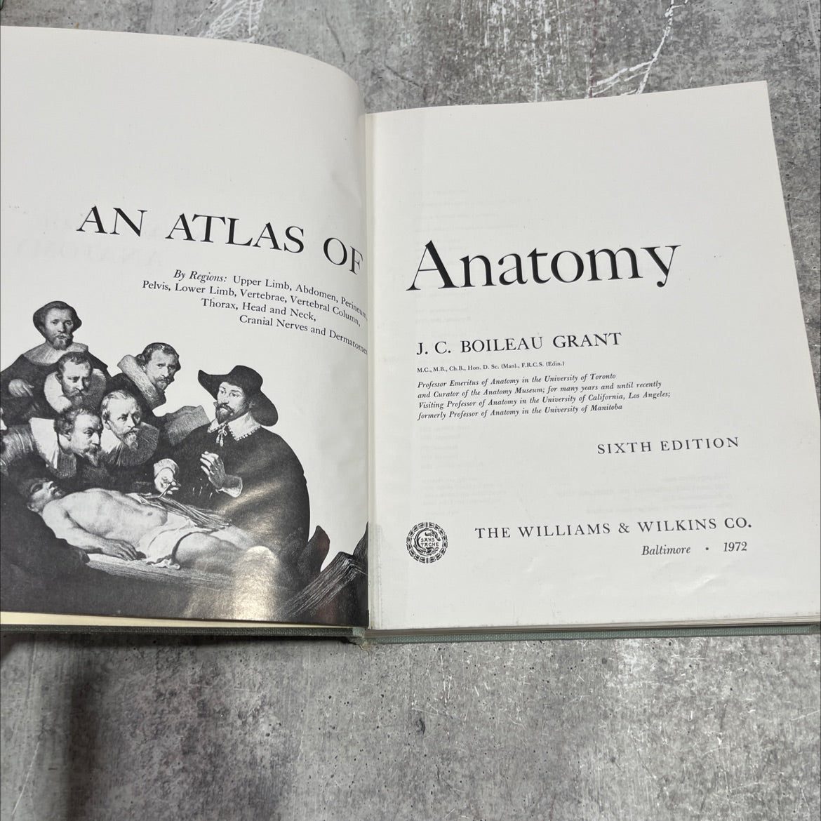 an atlas of anatomy pelvis, lower limb, vertebrae, vertebral column, by regions: upper limb, abdomen, perineum cranial image 2