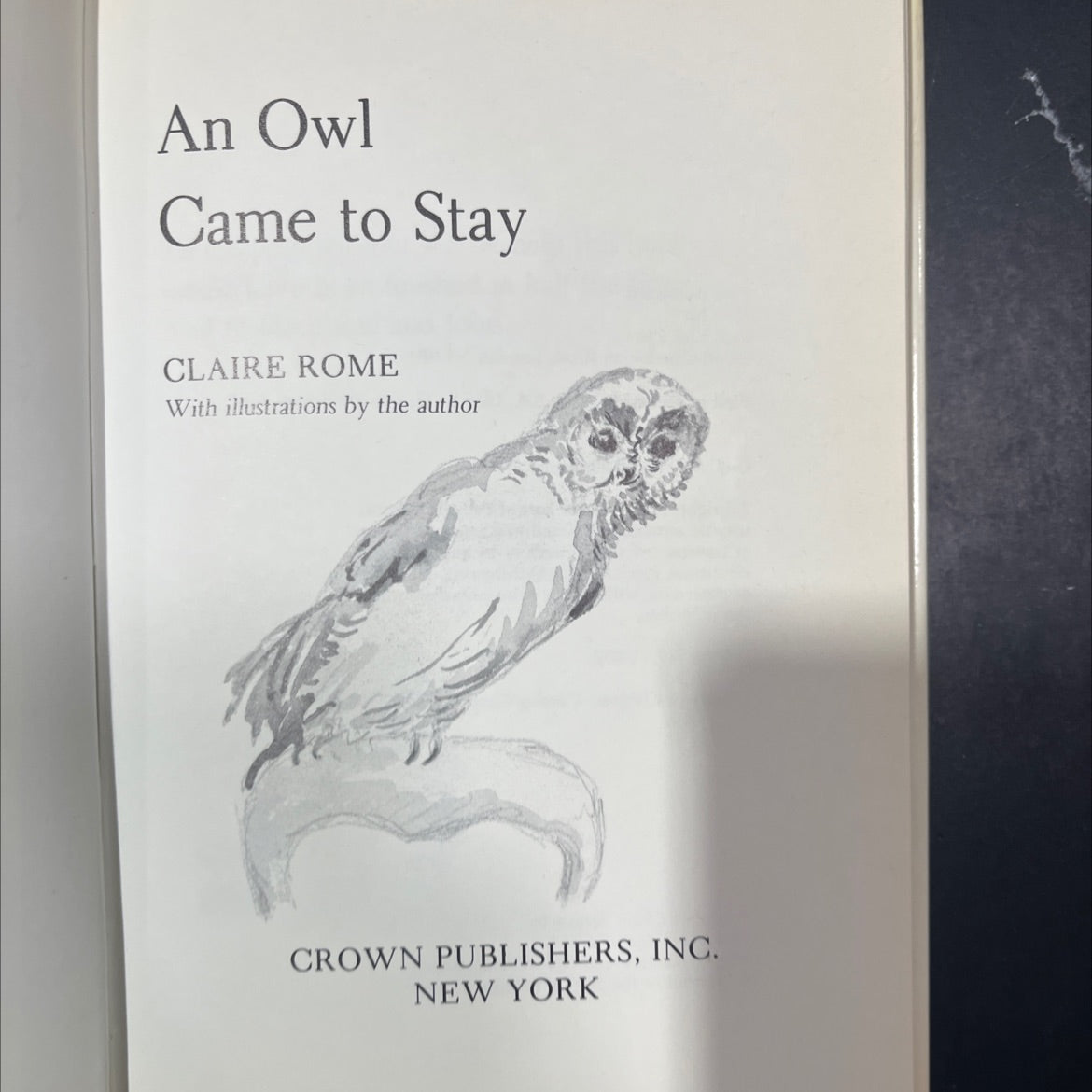an owl came to stay book, by claire rome, 1980 Hardcover image 2