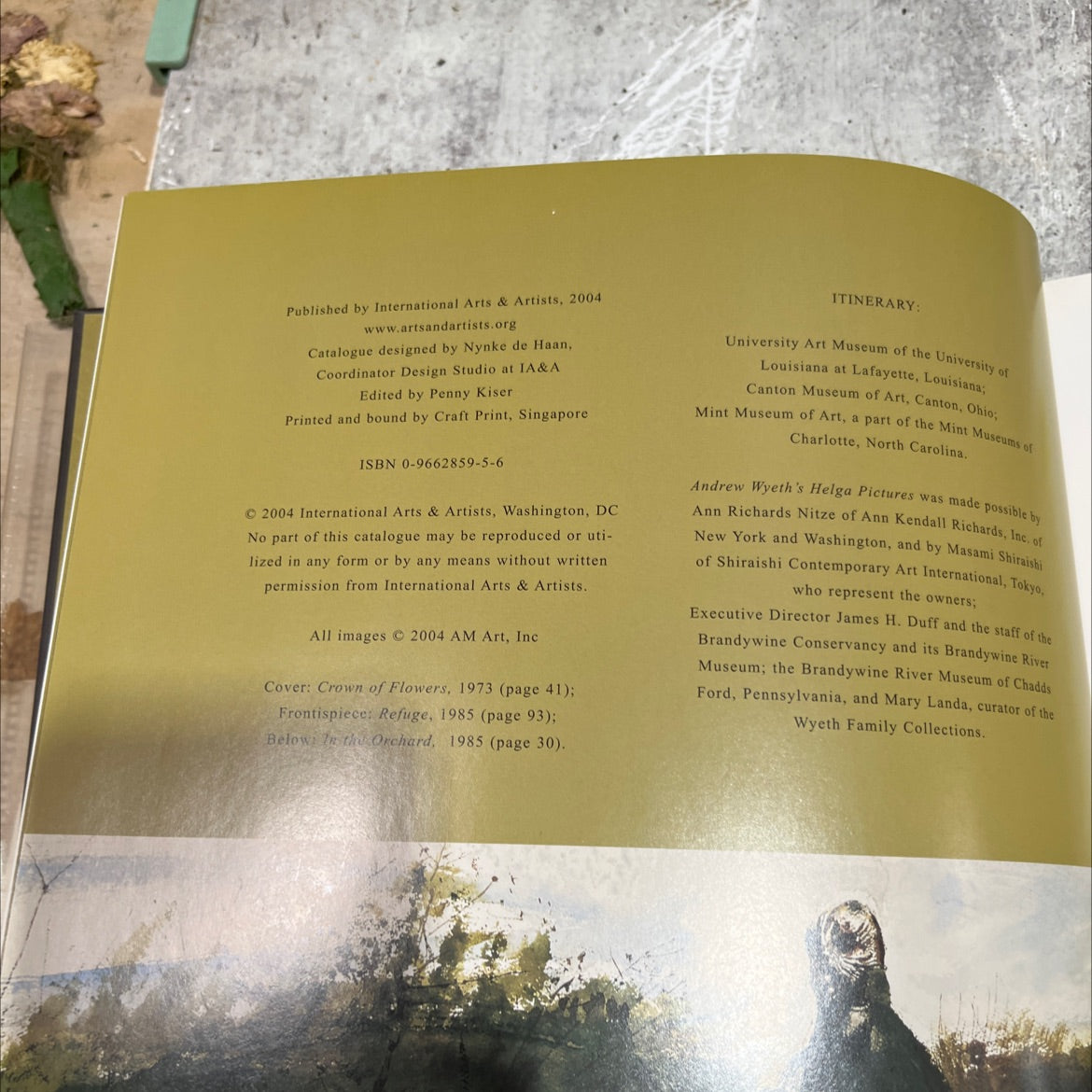 andrew wyeth's helga pictures book, by david furchgott, 2004 Hardcover image 3
