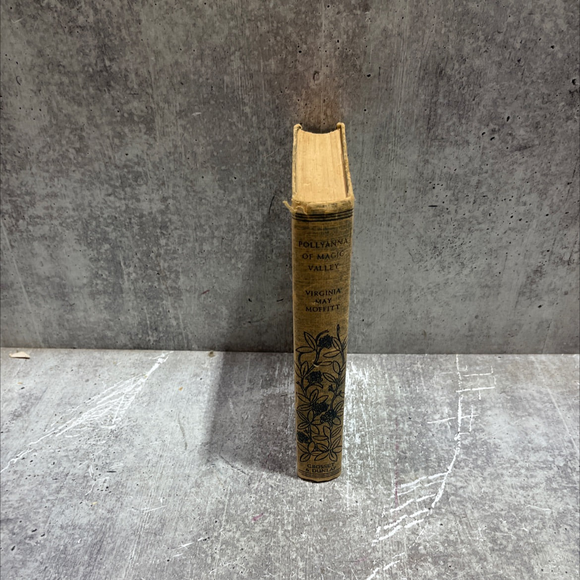 another glad book pollyanna trade mark of magic valley book, by virginia may moffitt, 1949 Hardcover image 4