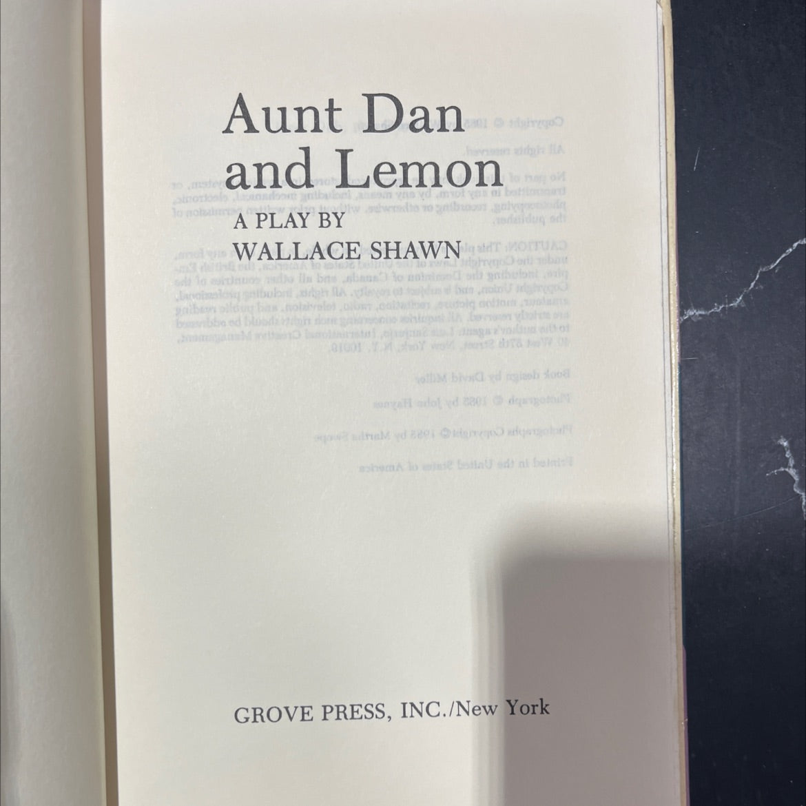 aunt dane tomatoes book, by wallace shawn, 1985 Hardcover image 2