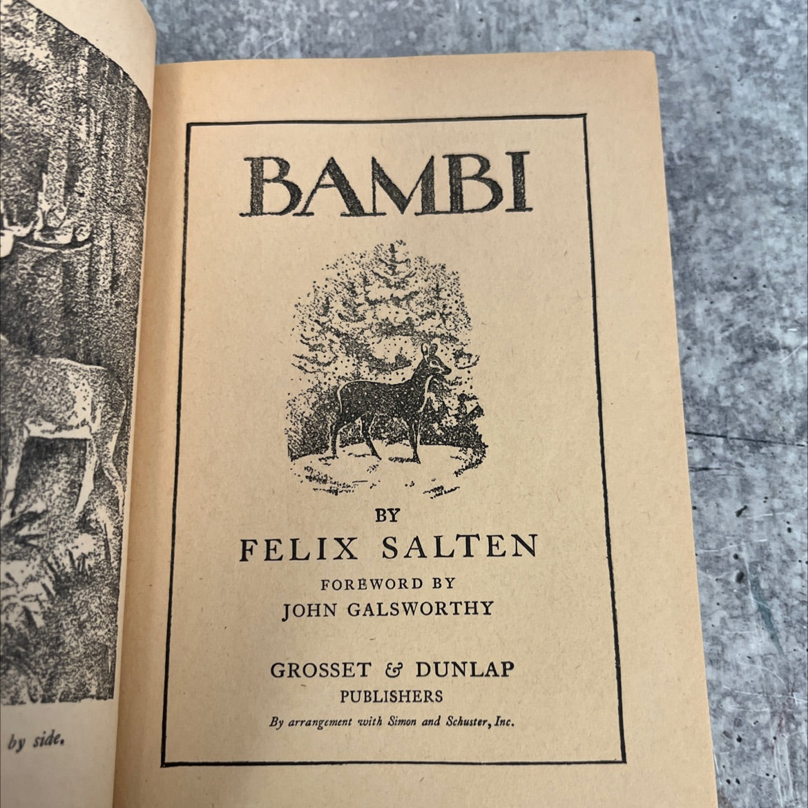 bambi book, by felix salten, 1929 Hardcover, First Edition, Vintage image 2