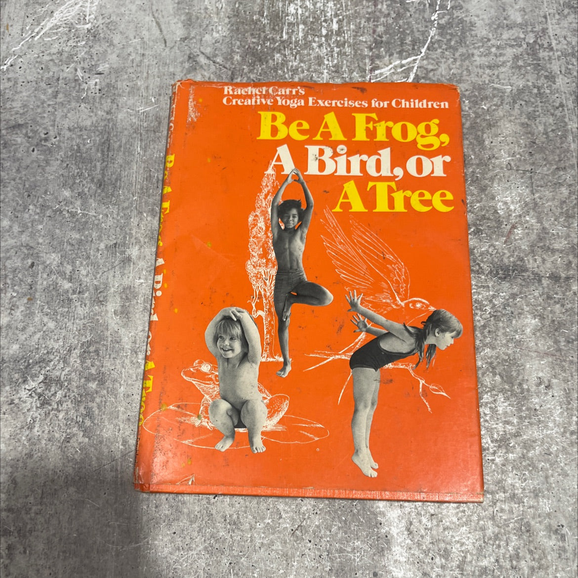 be a frog, a bird, or a tree book, by rachel carr, 1973 Hardcover image 1