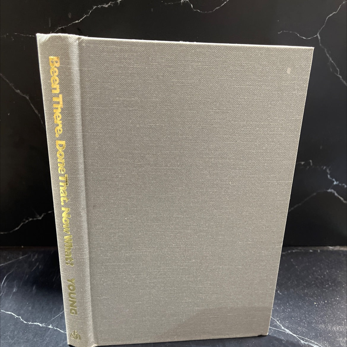 been there. done that. now what? book, by Ed Young, 1994 Hardcover image 1