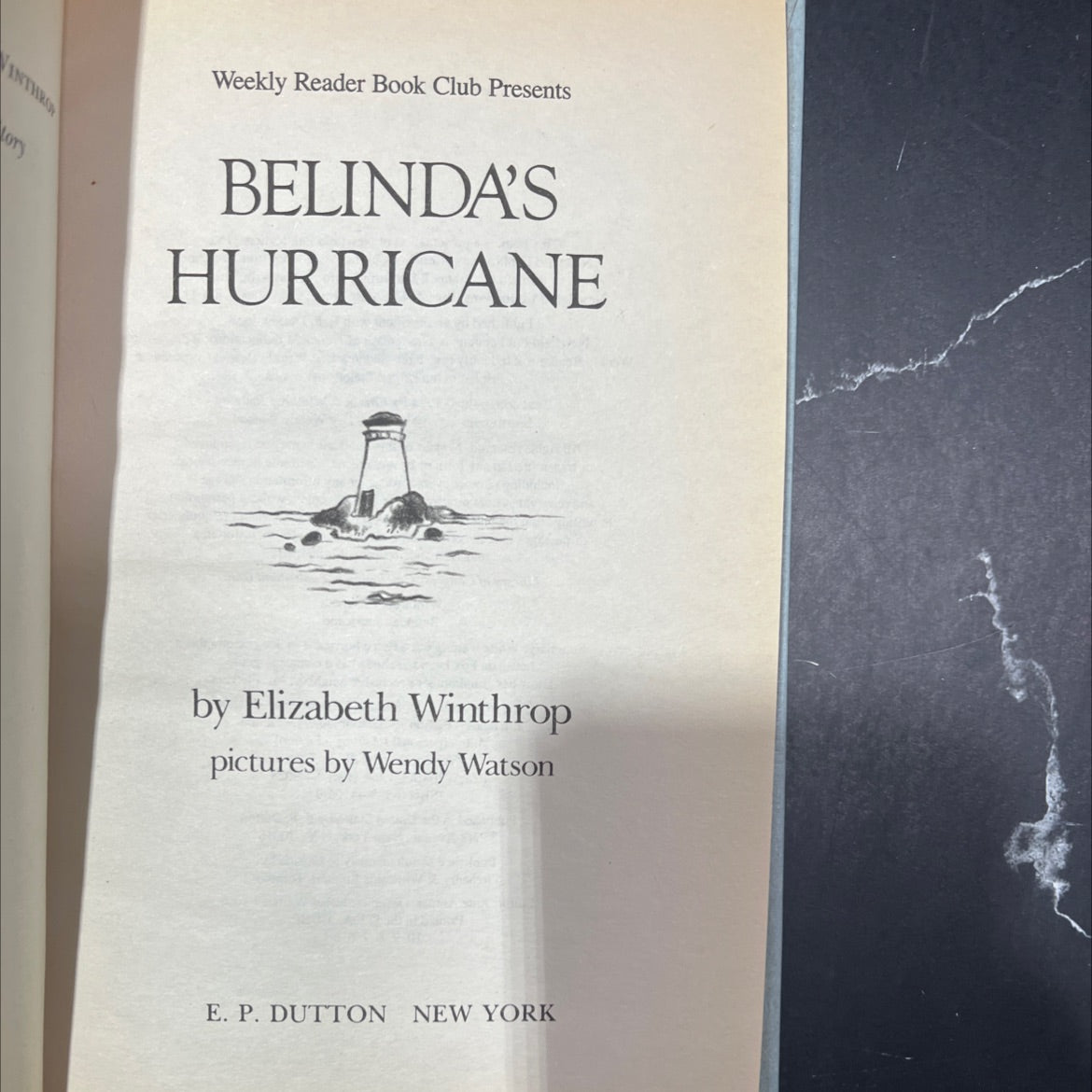 belinda's hurricane book, by Elizabeth Winthrop, 1984 Hardcover image 2