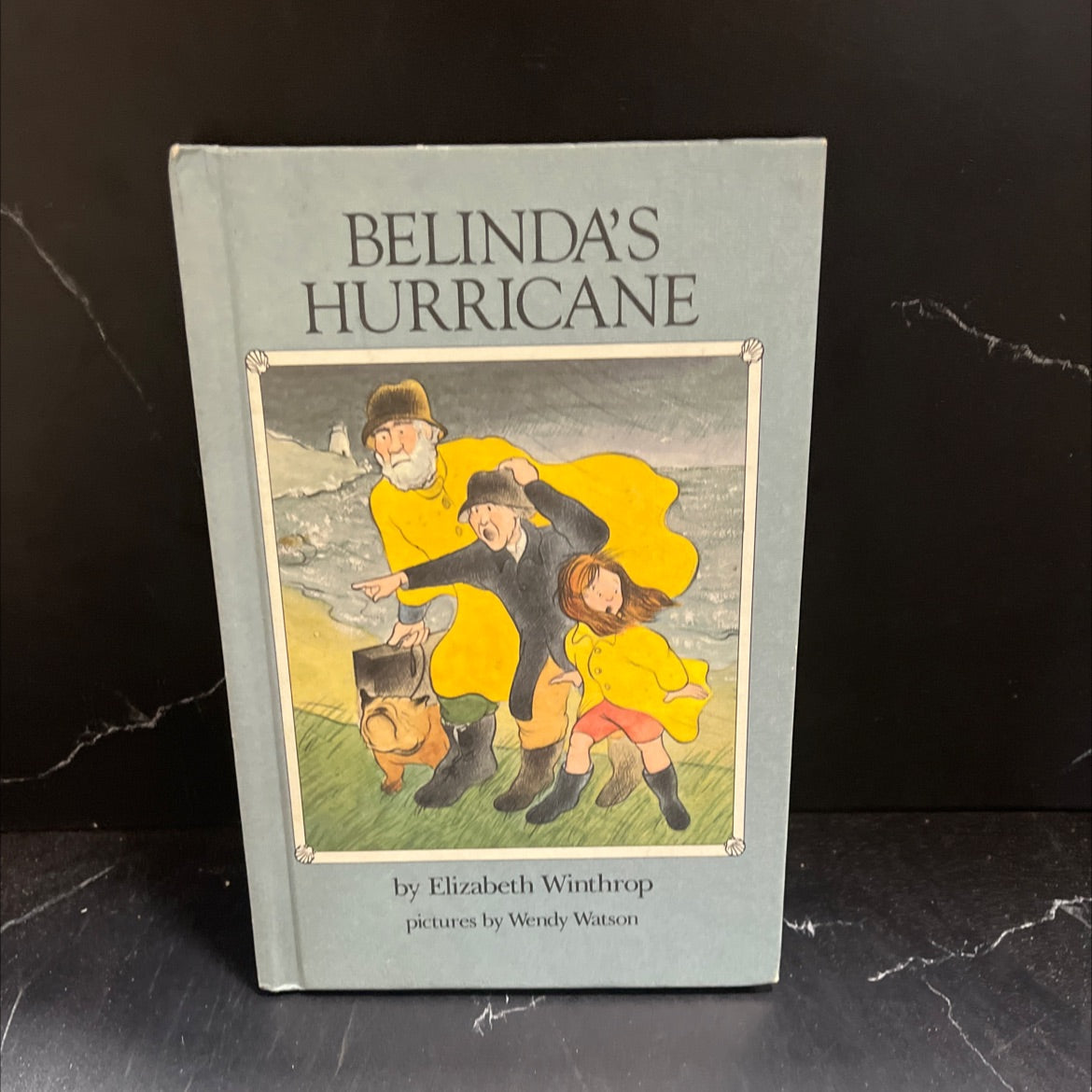 belinda's hurricane book, by Elizabeth Winthrop, 1984 Hardcover image 1