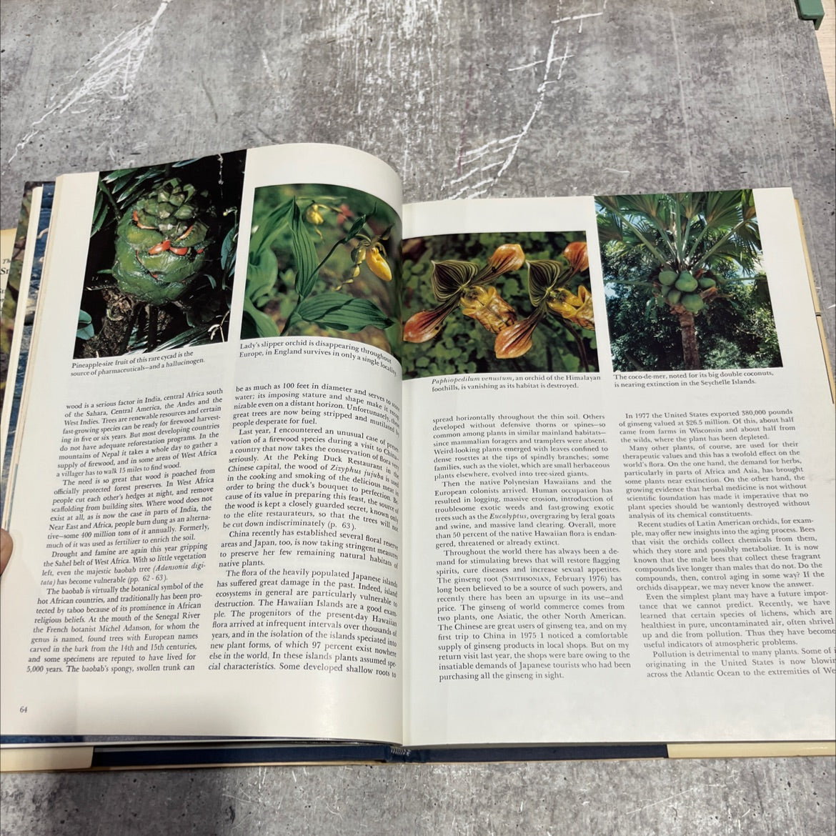 best of smithsonian book, by unknown, 1981 Hardcover image 4