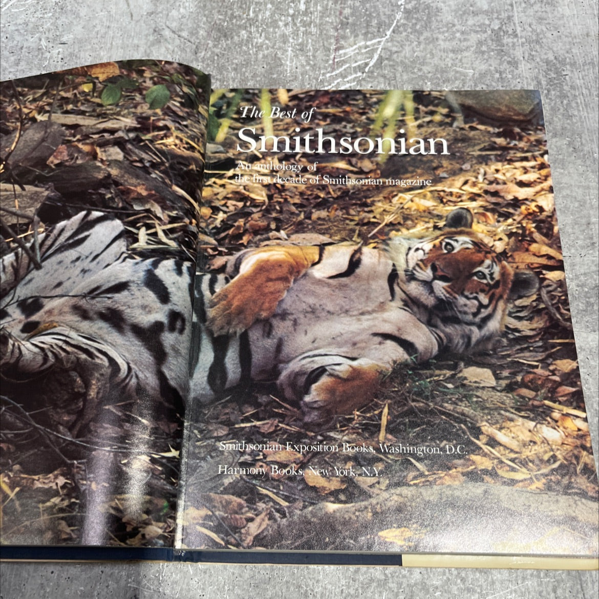 best of smithsonian book, by unknown, 1981 Hardcover image 2