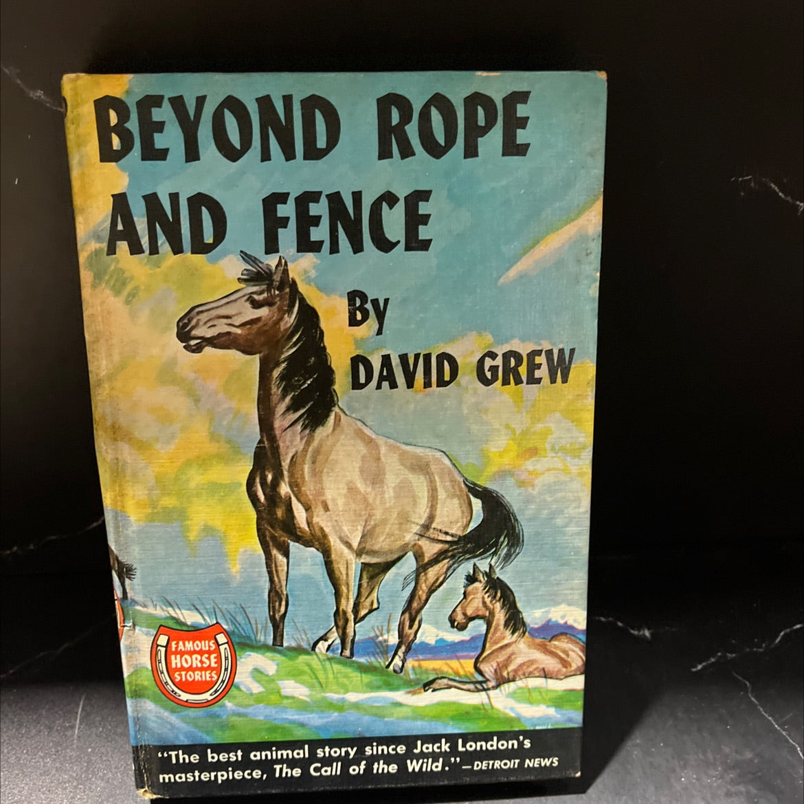 beyond rope and fence book, by david grew, 1947 Hardcover image 1