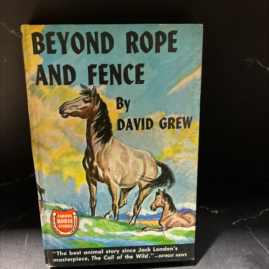 beyond rope and fence book, by david grew, 1947 Hardcover image 1