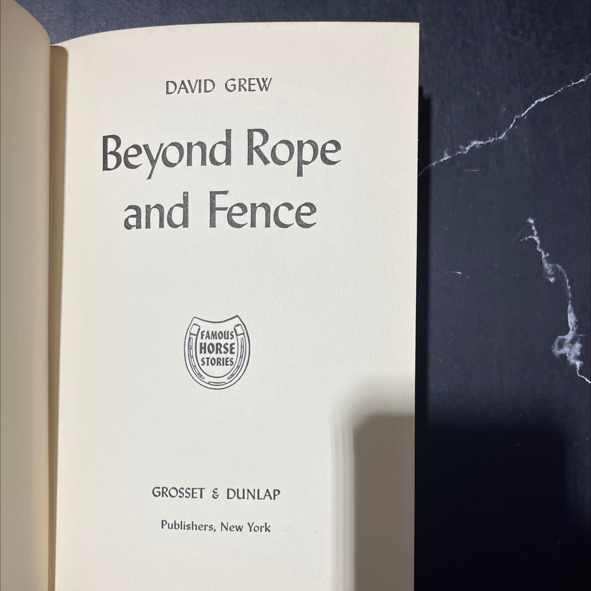 beyond rope and fence book, by david grew, 1947 Hardcover image 2