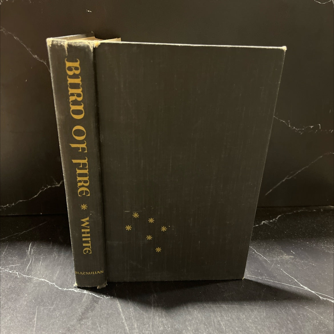 bird of fire: a tale of st. francis of assisi book, by helen c. white, 1958 Hardcover image 1