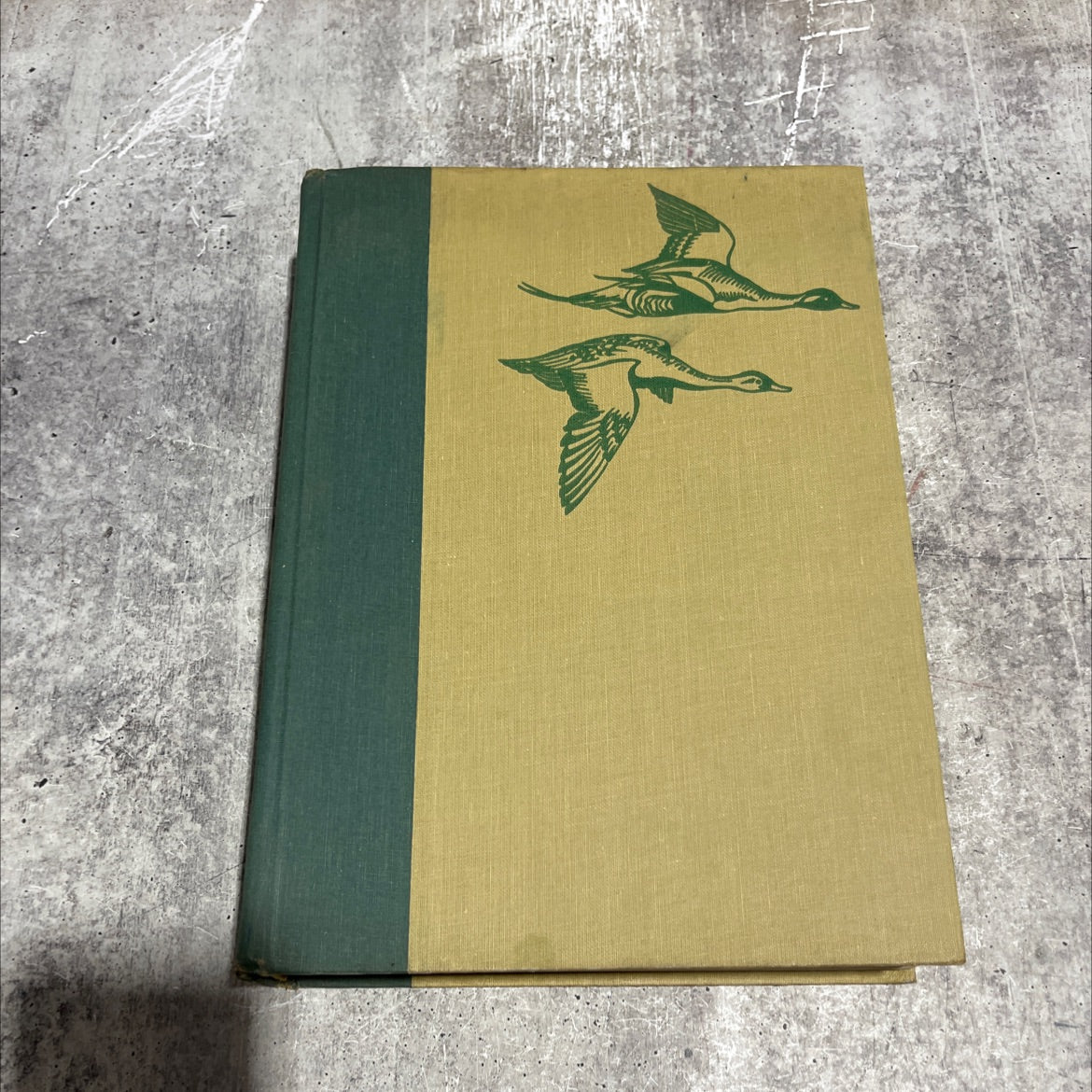 birds of america book, by t. gilbert pearson, 1936 Hardcover image 1