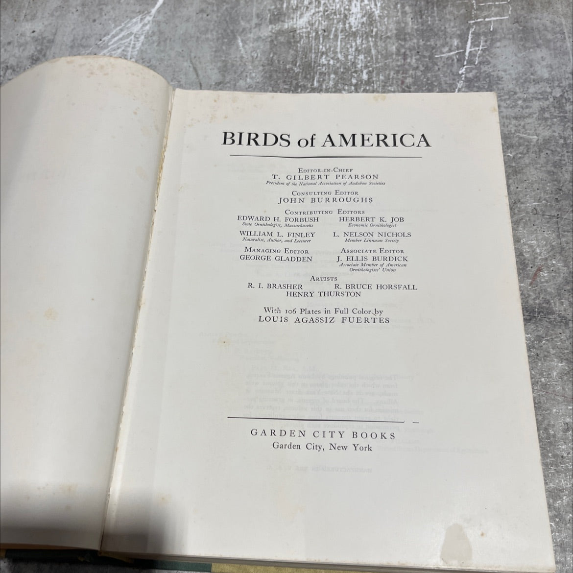 birds of america book, by t. gilbert pearson, 1936 Hardcover image 2