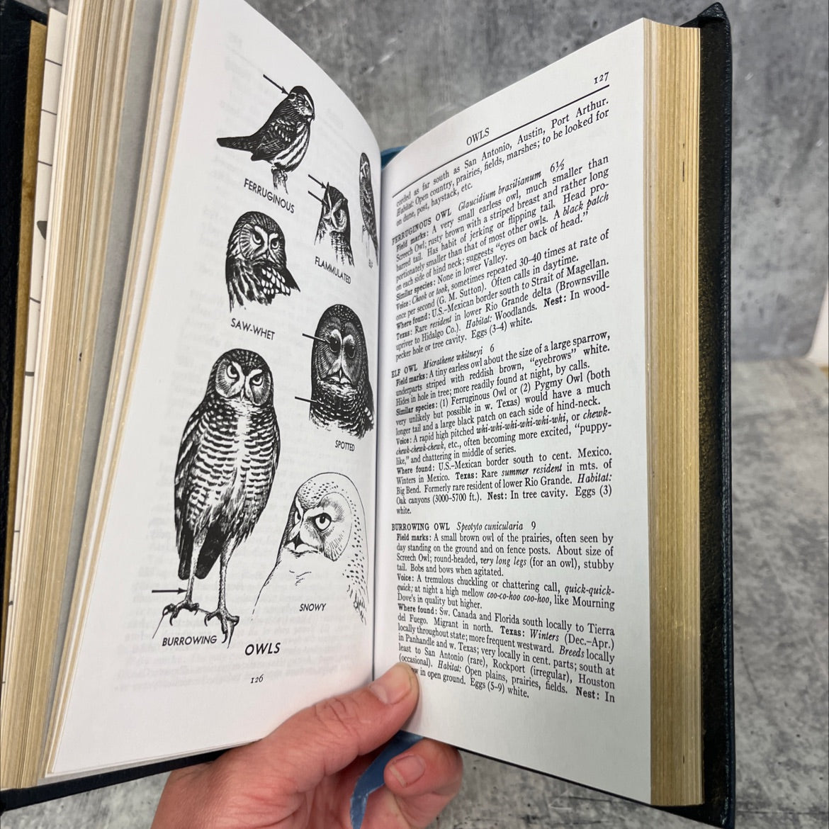 birds of texas and adjacent states book, by roger tory peterson, 2002 Leather image 4