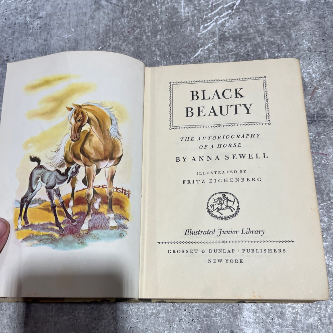 black beauty the autobiography of a horse book, by anna sewell, 1945 Hardcover image 2