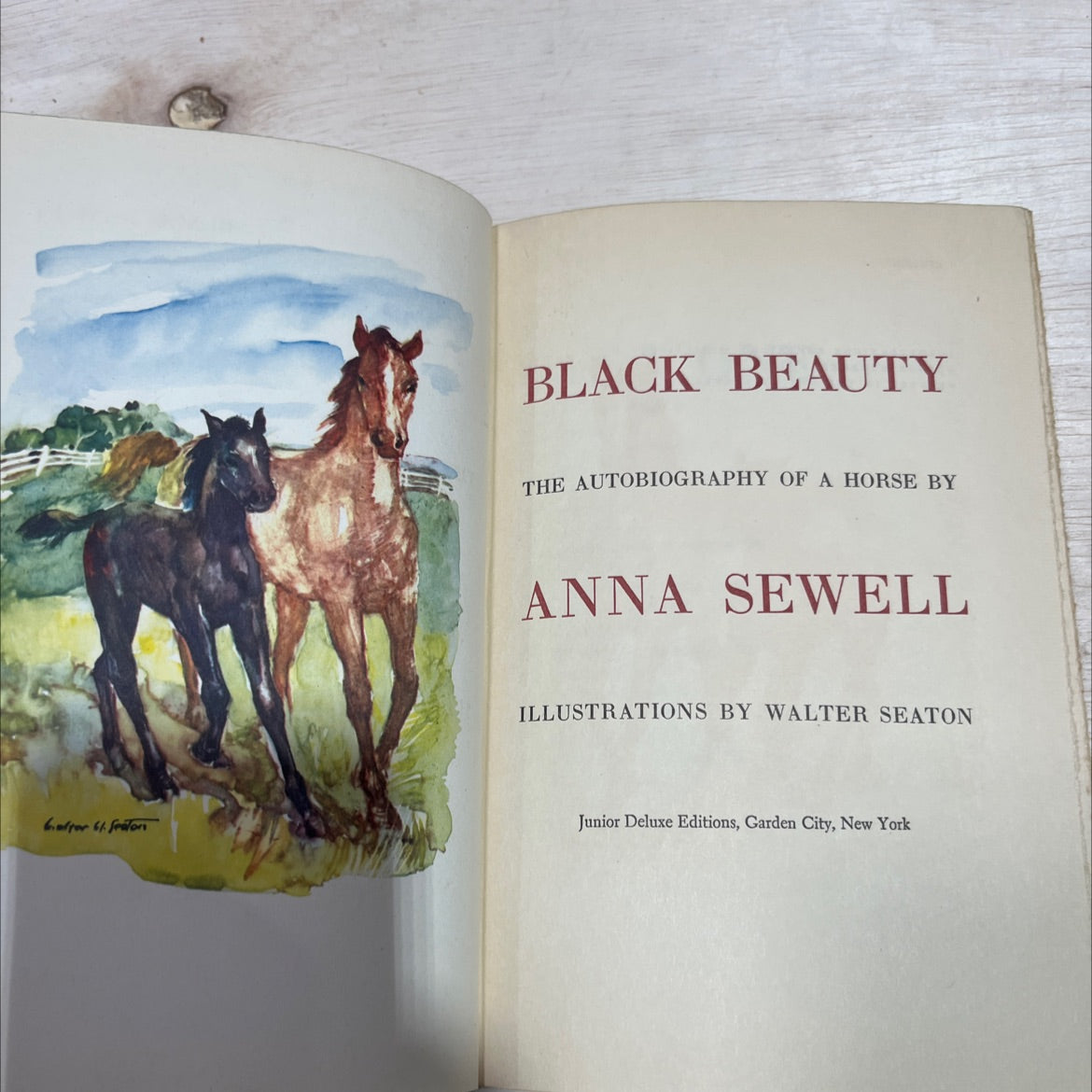 black beauty the autobiography of a horse book, by anna sewell, 1954 Hardcover image 2