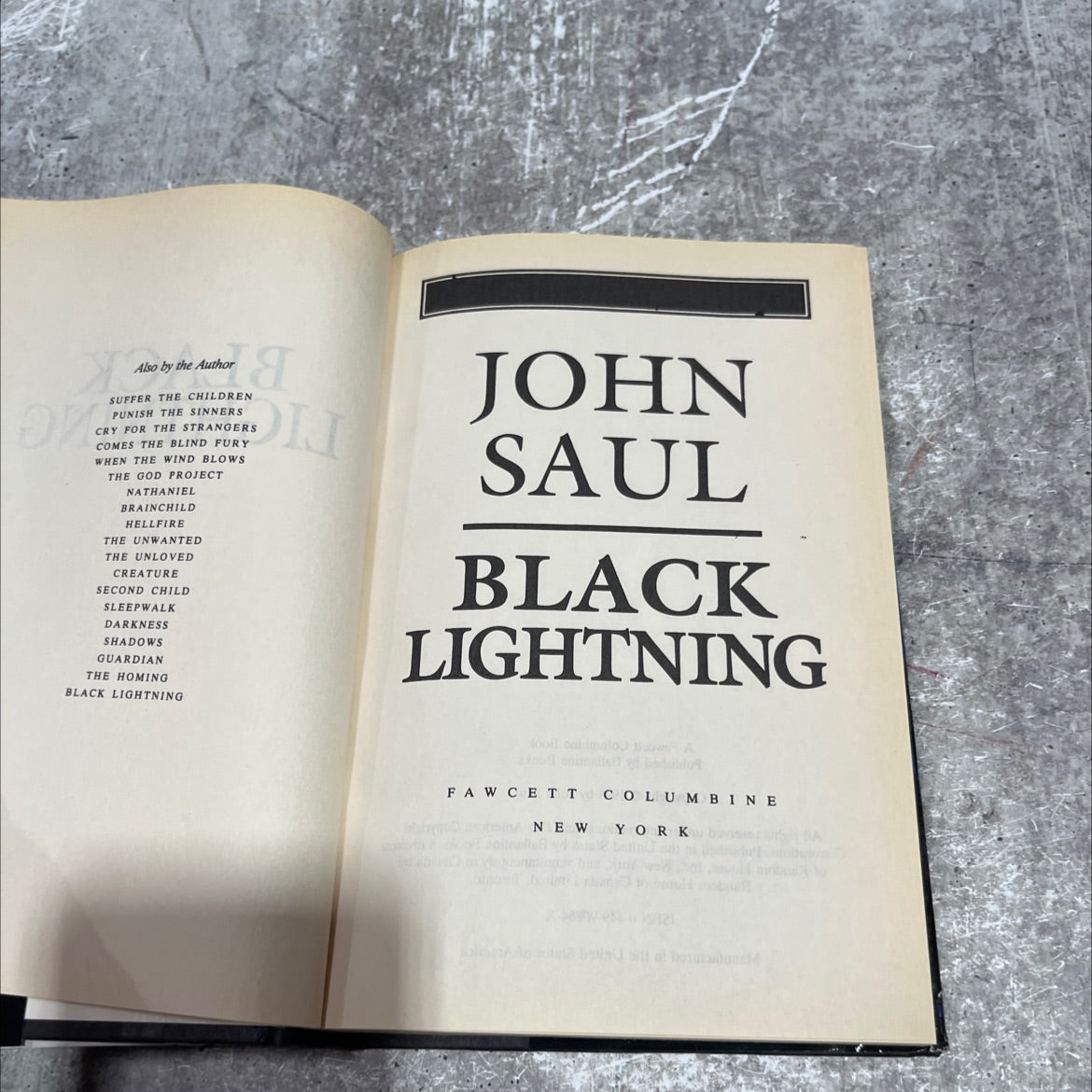 black lightning book, by john saul, 1995 Hardcover image 2