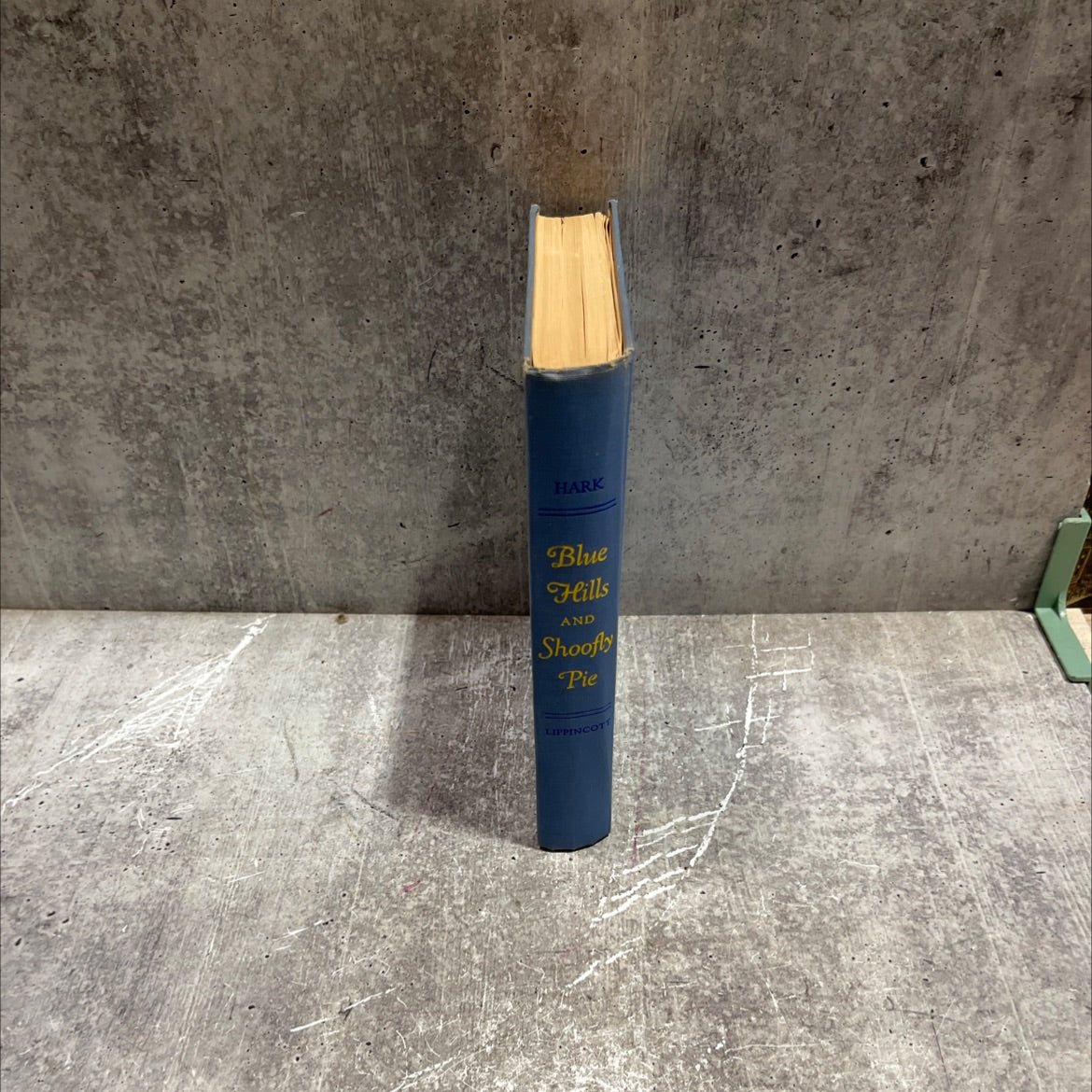 blue hills and shoofly pie in pennsylvania dutchland book, by Ann Hark, 1952 Hardcover image 4